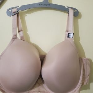 Torrid bra